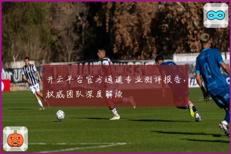开云平台官方通道专业测评报告，权威团队深度解读