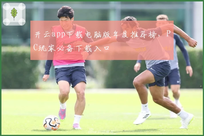 开云app下载电脑版年度推荐榜，PC玩家必备下载入口