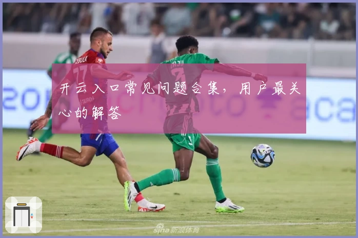 开云入口常见问题合集,用户最关心的解答