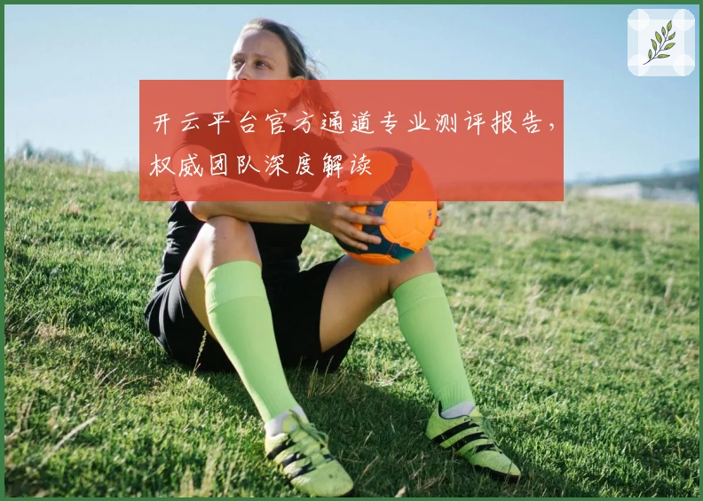 开云平台官方通道专业测评报告，权威团队深度解读