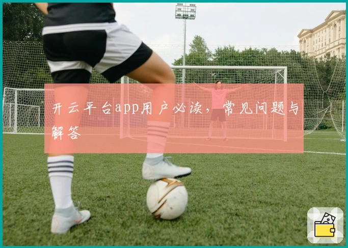 开云平台app用户必读，常见问题与解答