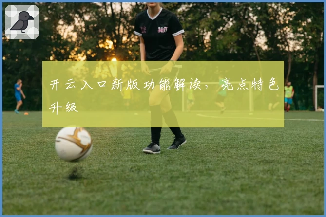 开云入口新版功能解读，亮点特色升级